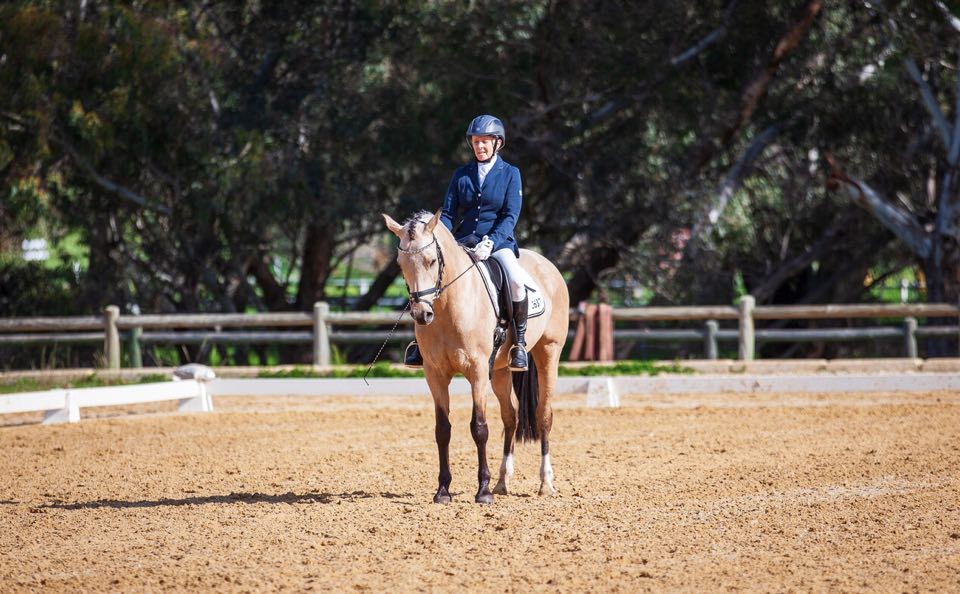 Robyn Brown riding Crystal de Luxe in their Dressage Discovery Saddle.